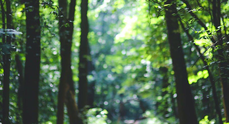 Jiaxing Xuanyi International Trade Co.,Ltd